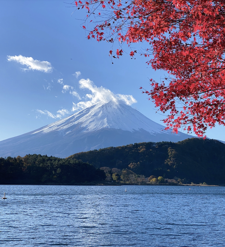 trip to japan during brain retraining for chronic fatigue